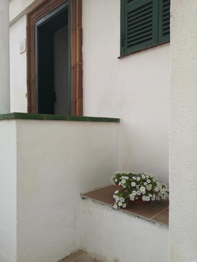 Toni'S Apartament Menorca Cala en Bosc Eksteriør billede